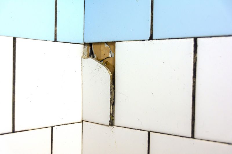 Cracked Tile Repair detail
